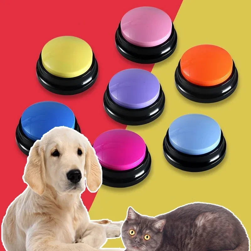Scatola audio per animali dome - Event Party Box recensione e prezzo
